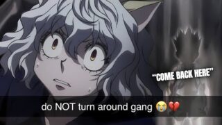 HUNTER X HUNTER IS ELITE HANDS