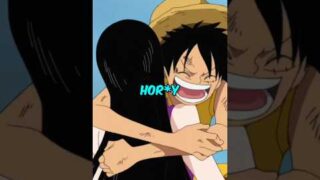 Two Devil Fruit That Don't Work on Luffy